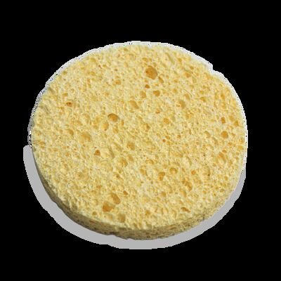 Compressed Wood Pulp Sponge: Expands in Water, Super Absorbent & Eco-Friendly for Kitchen.