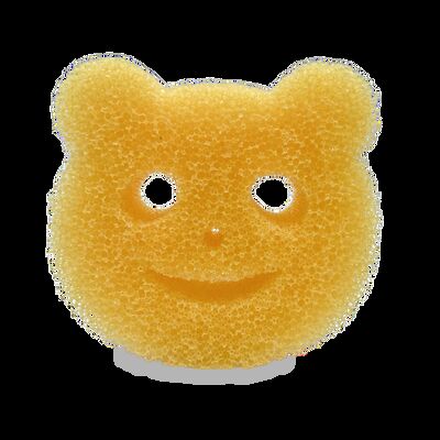 Sıcak Suda Rengi Değiştiren Ve Temperatüre Duyarlı Ayı Süngeri.