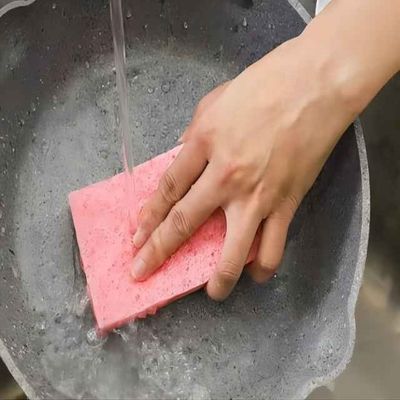 Spons Dapur Selulosa Nabati Ramah Lingkungan
