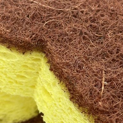 Dual-Sided Composite Sponge With Sisal Scouring Pad And Cellulose For Kitchen