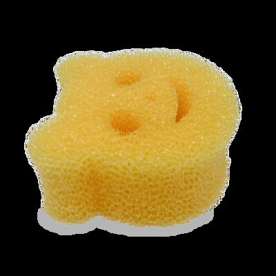 Sıcak Suda Rengi Değiştiren Ve Temperatüre Duyarlı Ayı Süngeri.