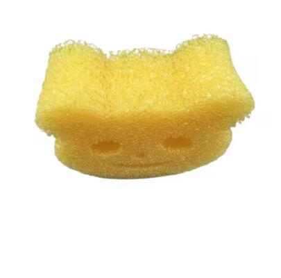 Sıcak Suda Rengi Değiştiren Ve Temperatüre Duyarlı Ayı Süngeri.